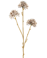 Three brown stems of the Artificial Flower Mini Allium 60 cm cream/brown extend upwards, each with a round cluster of small, subtle cream and brown buds at the end against a plain white background. The whole looks minimalist and natural.
