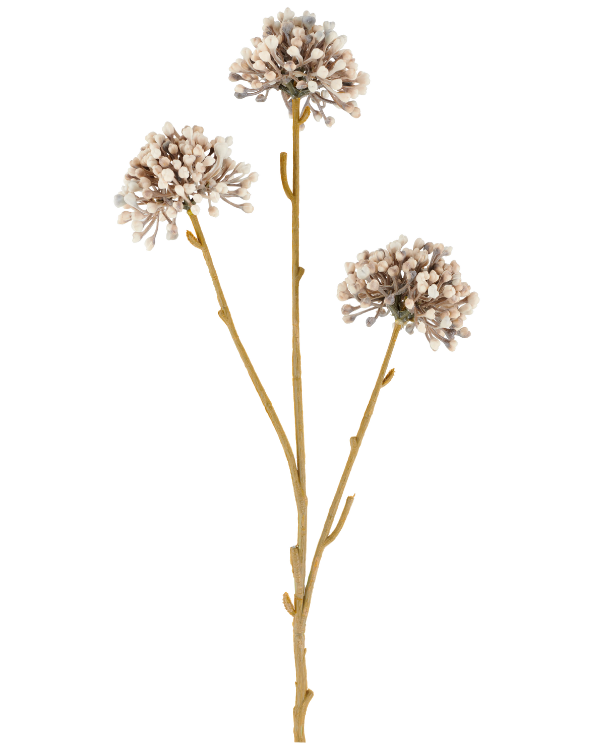 Three brown stems of the Artificial Flower Mini Allium 60 cm cream/brown extend upwards, each with a round cluster of small, subtle cream and brown buds at the end against a plain white background. The whole looks minimalist and natural.