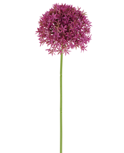 A single long stem of the Artificial Flower Dandelion 63 cm fuchsia bears a round cluster of small, star-shaped, fuchsia flowers against a white background.