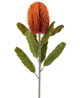A single 65cm Artificial Flower Banksia in old orange features a large, spiky, old orange flower at the top of a sturdy stem, with several elongated, serrated green leaves arranged symmetrically along the stem, all against a white background.