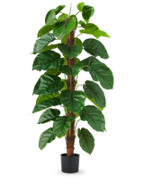 The Artificial Plant Epipremnum aureum 150 cm is a tall artificial plant with large, glossy green leaves, presented in a black pot against a plain white background.