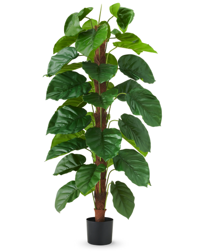 The Artificial Plant Epipremnum aureum 150 cm is a tall artificial plant with large, glossy green leaves, presented in a black pot against a plain white background.