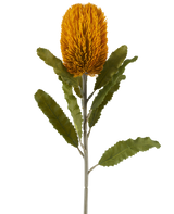 A single artificial Banksia flower in mustard colour, 65 cm tall, with a cylindrical shape and serrated green leaves on a long stem, isolated against a white background.