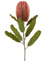 A single stem of the Artificial Flower Banksia 65 cm old pink has a large, pink, cylindrical flower and long, serrated green leaves that stand out against a white background.