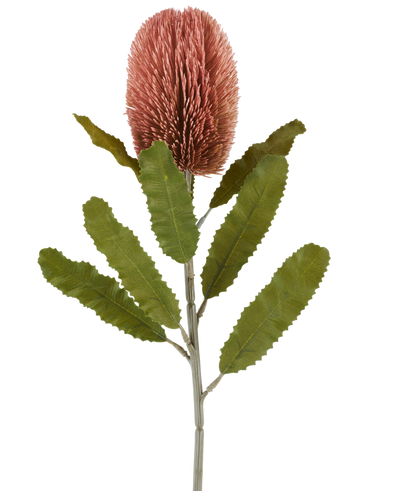 A single stem of the Artificial Flower Banksia 65 cm old pink has a large, pink, cylindrical flower and long, serrated green leaves that stand out against a white background.