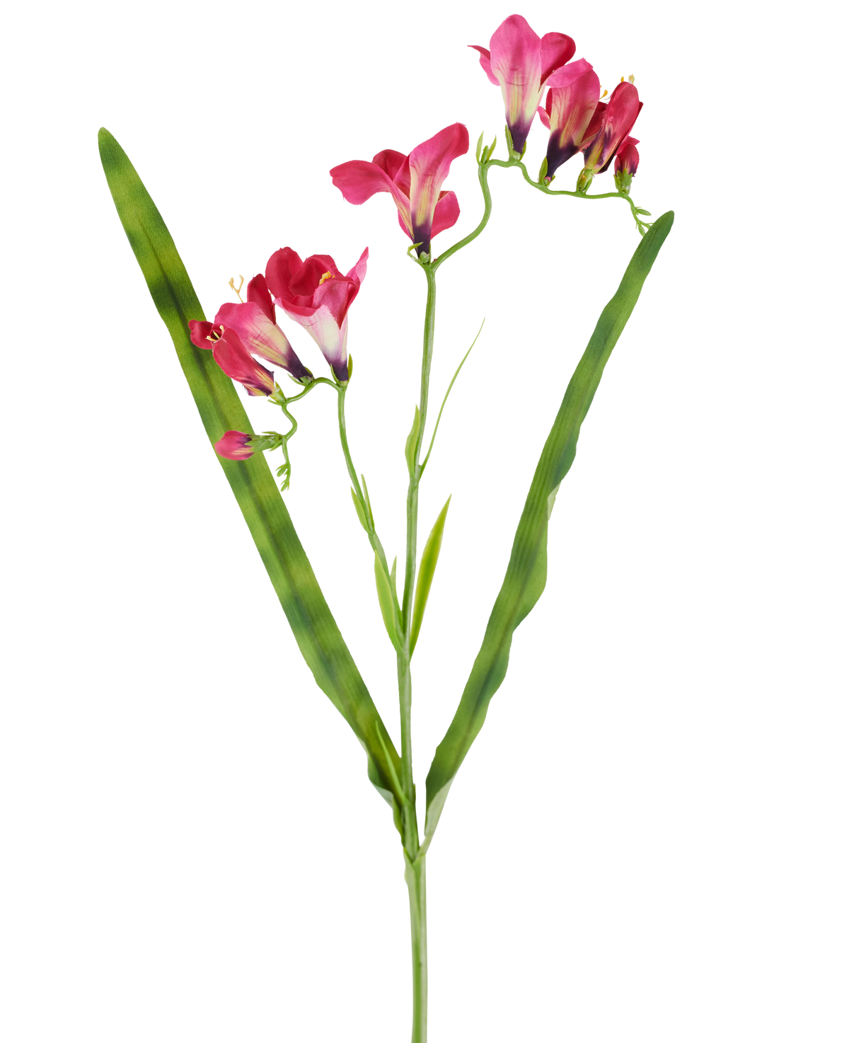 An artificial flower: 56 cm freesia in fuchsia, with vibrant fuchsia flowers and two long, slender green leaves, depicted on a white background.