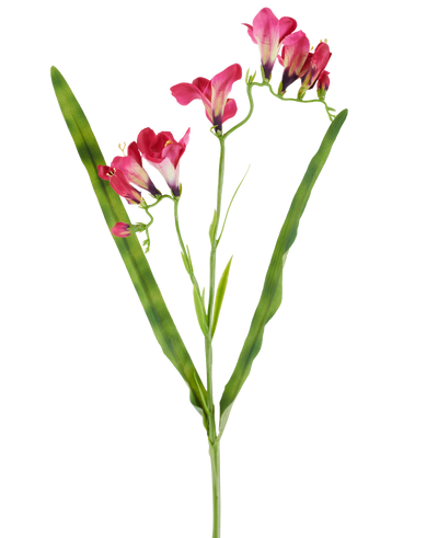 An artificial flower: 56 cm freesia in fuchsia, with vibrant fuchsia flowers and two long, slender green leaves, depicted on a white background.
