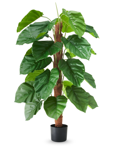 An artificial plant Epipremnum aureum, 120 cm high, with large, glossy green leaves in a black pot, depicted against a plain white background.