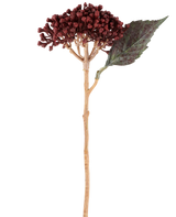 A single Artificial Flower Dried Hydrangea in burgundy red, with a length of 38 cm, with dried red-brown petals, a cluster of small buds and one green leaf on a long, slender stem, is depicted against a white background.