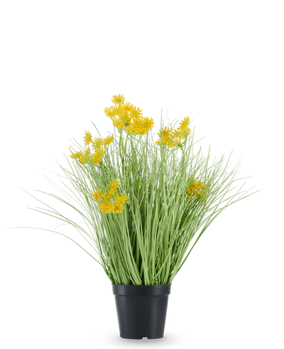The Artificial Grass Root Flowers Onion Grass is housed in a black plastic pot, with long, thin, grass-like leaves and bunches of small, bright yellow flowers at the tips. The artificial plant is 50 cm high, fire-retardant and stands against a plain white background.