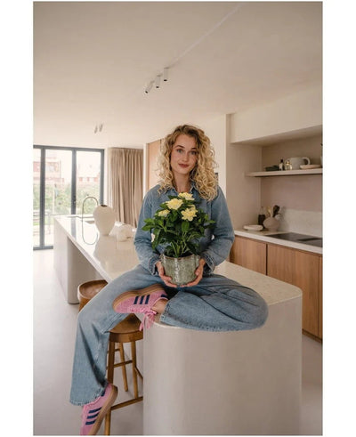 Een vrouw met krullend blond haar, gekleed in spijkerkleding en roze sneakers, zit in kleermakerszit op een keukeneiland in een moderne, zonovergoten keuken, met de Kunstplant Gardenia UV 39 cm in haar handen.