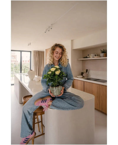 Een vrouw met krullend blond haar, gekleed in spijkerbroek en gestreepte sokken, zit glimlachend op het aanrecht terwijl ze de Kunstplant Gardenia UV 39 cm vasthoudt – een potplant met gele bloemen. Op de achtergrond is een moderne keuken met houten kasten en planken te zien.