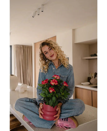 Een vrouw met krullend blond haar, gekleed in een spijkerjumpsuit en roze sneakers, zit in kleermakerszit op een aanrecht en glimlacht terwijl ze de Kunstplant Gardenia UV 39 cm in fuchsia vasthoudt.