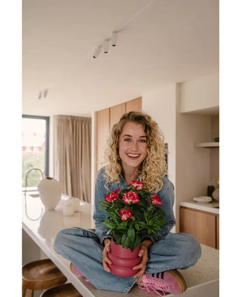 Een glimlachende vrouw met krullend blond haar zit in kleermakerszit op een lichte, moderne aanrecht, met in haar handen de Kunstplant Gardenia UV 39 cm fuchsia – een roze potplant met levendig rode bloemen. Ze draagt een spijkerbroek, een blauw shirt en roze schoenen.