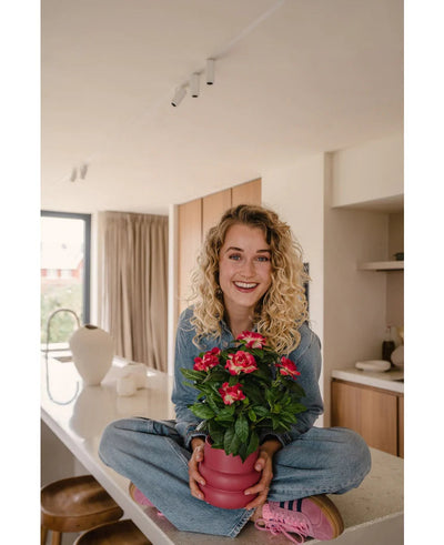 Een glimlachende vrouw met krullend blond haar zit in kleermakerszit op een lichte, moderne aanrecht, met in haar handen de Kunstplant Gardenia UV 39 cm fuchsia – een roze potplant met levendig rode bloemen. Ze draagt een spijkerbroek, een blauw shirt en roze schoenen.