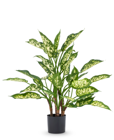 De Kunstplant Dieffenbachia UV 75 cm heeft hoge groene stengels en grote, puntige bladeren met licht geelgroene bonte schakering in een stijlvolle sierpot, tegen een effen witte achtergrond.
