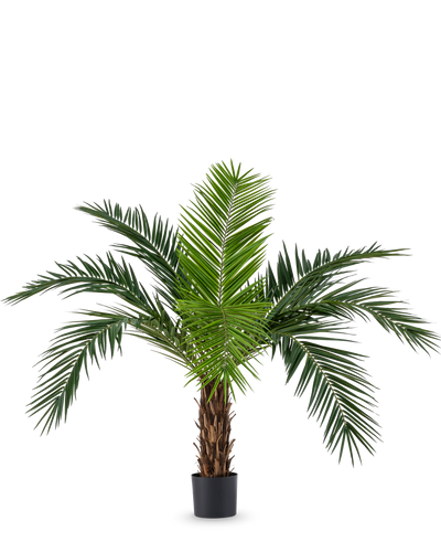 De Kunstpalm Phoenix Canarie 160 cm met lange groene bladeren en tropische uitstraling staat in een pot tegen een witte achtergrond. Deze kunstpalm brengt direct een tropisch sfeertje in elke ruimte.