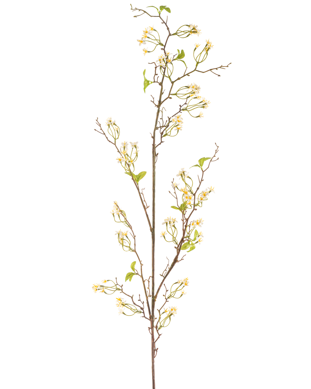 The Artificial Flower Verbena 157 cm cream has a long, slender brown stem with small bunches of delicate cream-colored flowers and a few green leaves, against a plain white background.