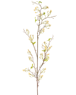 De Kunstbloem Verbena 157 cm crème heeft een lange, slanke bruine stengel met kleine trosjes delicate crèmekleurige bloemen en een paar groene blaadjes, tegen een effen witte achtergrond.