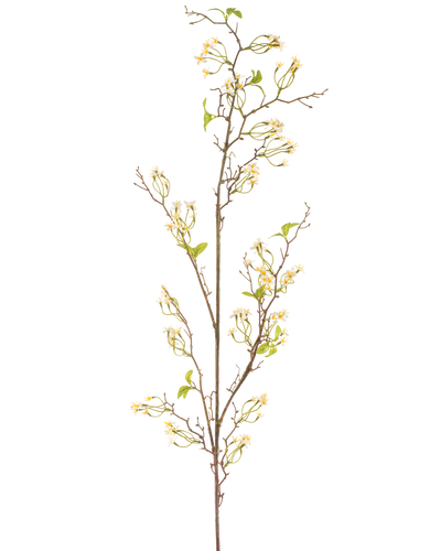 De Kunstbloem Verbena 157 cm crème heeft een lange, slanke bruine stengel met kleine trosjes delicate crèmekleurige bloemen en een paar groene blaadjes, tegen een effen witte achtergrond.