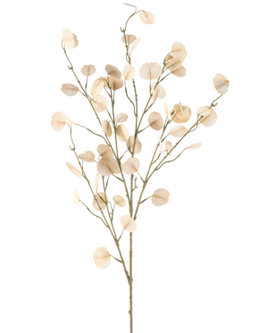 De Kunstbloem Eucalyptus 119 cm crème heeft slanke stelen met ronde, licht crème bladeren tegen een eenvoudige witte achtergrond.