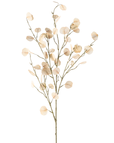 De Kunstbloem Eucalyptus 119 cm crème heeft slanke stelen met ronde, licht crème bladeren tegen een eenvoudige witte achtergrond.