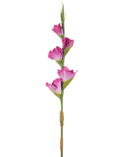 Een enkele stengel Kunstbloem Gladiolen 83 cm fuchsia heeft vier levendige roze bloemen op een groene steel, tegen een effen witte achtergrond.