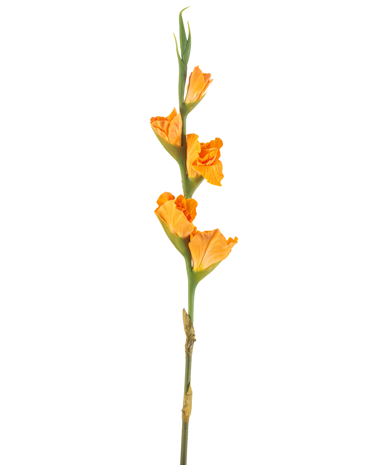 The Artificial Flower Gladiolus 83 cm orange has a long green stem with several orange gladiolus flowers on a white background.