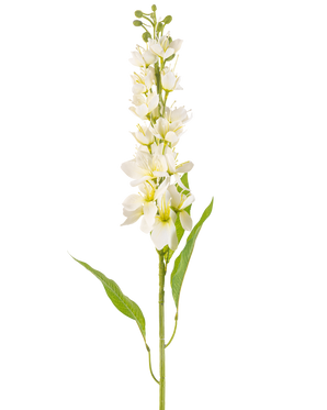 De Kunstbloem Aziatische appel 84 cm crème heeft een lange steel met meerdere delicate crèmekleurige bloemen en lange, smalle groene bladeren tegen een effen witte achtergrond.