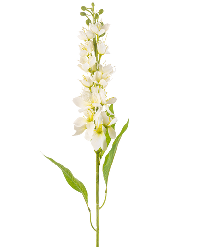 De Kunstbloem Aziatische appel 84 cm crème heeft een lange steel met meerdere delicate crèmekleurige bloemen en lange, smalle groene bladeren tegen een effen witte achtergrond.
