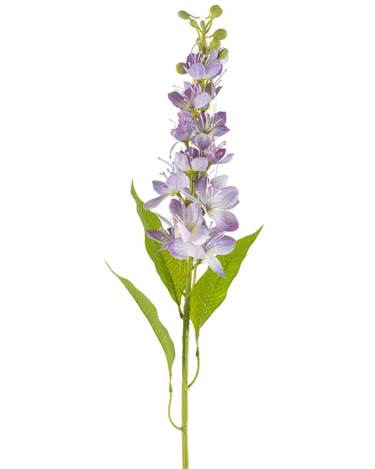 The Artificial flower Asian apple 84 cm lavender has a single stem with elongated green leaves and multiple small, light purple flowers that stand vertically along the stem, isolated on a white background.