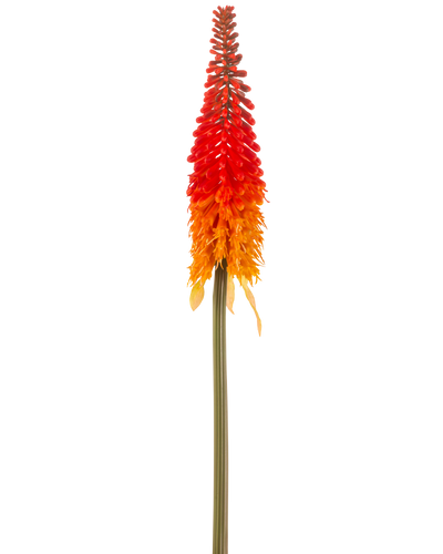 De Kunstbloem Fakkellelie 80 cm oranje heeft een hoge kunstbloem met een lange groene steel en een kegelvormige tros oranje bloemblaadjes, tegen een effen witte achtergrond.
