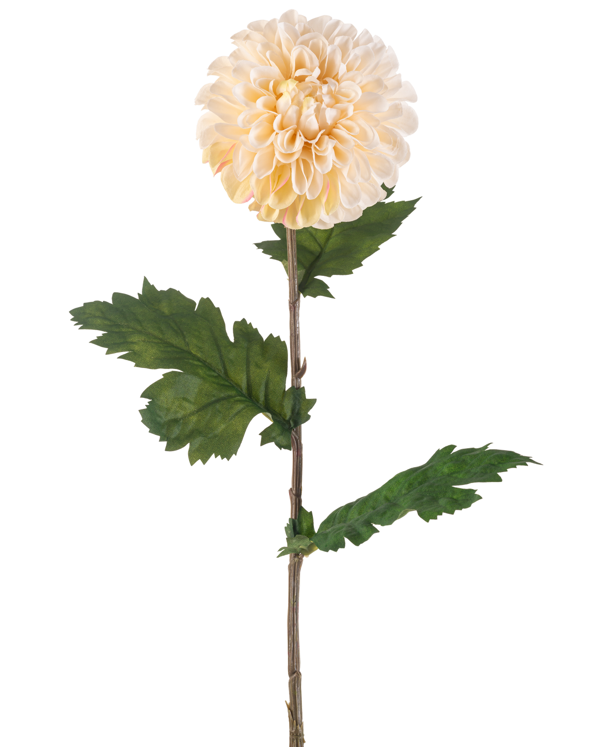 The Artificial Flower Dahlia 75 cm cream has a single stem with a large, round cream dahlia flower and several green, serrated leaves on a white background.