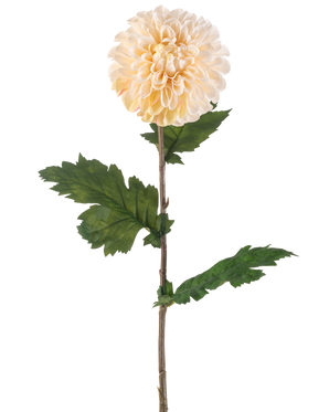De Kunstbloem Dahlia 75 cm crème heeft een enkele steel met een grote, ronde crème dahlia bloem en verschillende groene, gekartelde bladeren op een witte achtergrond.