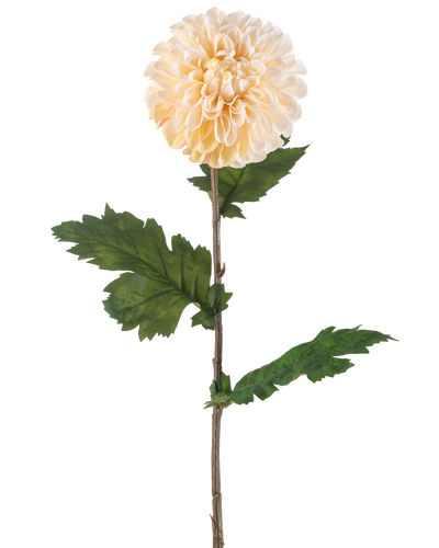 De Kunstbloem Dahlia 75 cm crème heeft een enkele steel met een grote, ronde crème dahlia bloem en verschillende groene, gekartelde bladeren op een witte achtergrond.