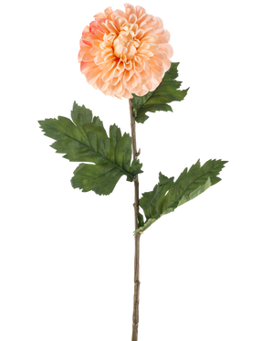 De Kunstbloem Dahlia 75 cm perzik heeft een perzikkleurige dahlia met gelaagde bloemblaadjes en drie trossen gekartelde groene bladeren op een lange steel, afgebeeld tegen een witte achtergrond.
