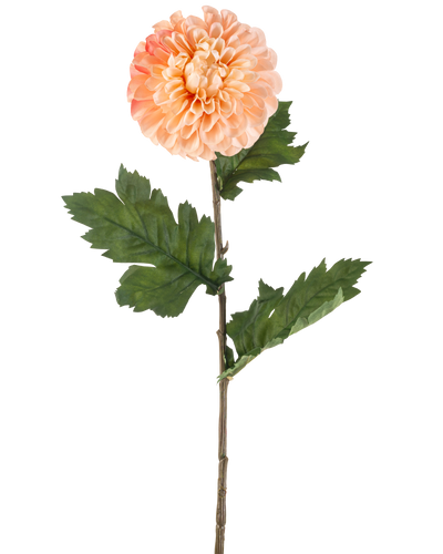 De Kunstbloem Dahlia 75 cm perzik heeft een perzikkleurige dahlia met gelaagde bloemblaadjes en drie trossen gekartelde groene bladeren op een lange steel, afgebeeld tegen een witte achtergrond.