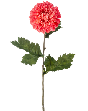 De Kunstbloem Dahlia 75 cm rood is een enkele kunstmatige rode dahlia bloem met gelaagde bloemblaadjes en verschillende groene blaadjes op een lange groene steel, geïsoleerd op een witte achtergrond.