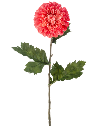 De Kunstbloem Dahlia 75 cm rood is een enkele kunstmatige rode dahlia bloem met gelaagde bloemblaadjes en verschillende groene blaadjes op een lange groene steel, geïsoleerd op een witte achtergrond.