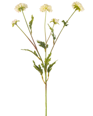 De Kunstbloem Pompon chrysant 69 cm crème/roze heeft een groene stengel die zich vertakt in vijf kleinere stengels, elk bekroond met een ronde crème-roze bloem en omringd door gekartelde groene bladeren, alles tegen een effen witte achtergrond.