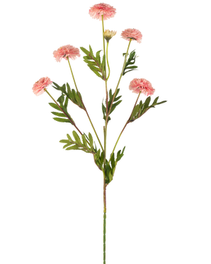 De Kunstbloem Pomponchrysant 69 cm roze heeft een enkele steel met meerdere lichtroze, ronde pomponbloemen en groene, varenachtige bladeren tegen een witte achtergrond.