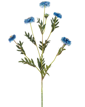 De Kunstbloem Pomponchrysant 69 cm blauw heeft een enkele groene steel met verschillende takken, zes blauwe kunstbloemen met gele hartjes en smalle groene bladeren, alles op een witte achtergrond.