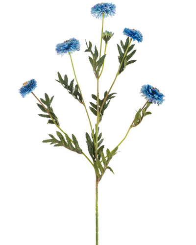De Kunstbloem Pomponchrysant 69 cm blauw heeft een enkele groene steel met verschillende takken, zes blauwe kunstbloemen met gele hartjes en smalle groene bladeren, alles op een witte achtergrond.