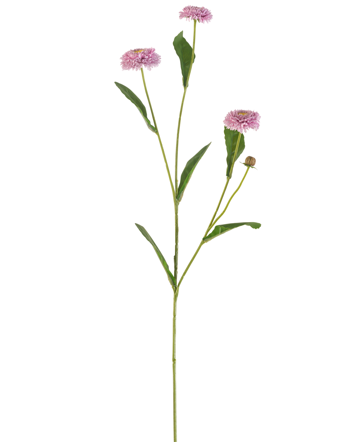The Artificial Flower Summer Aster 57 cm mauve has a long, slender green stem with three mauve, daisy-like flowers and elongated green leaves that branch, all against a plain white background.