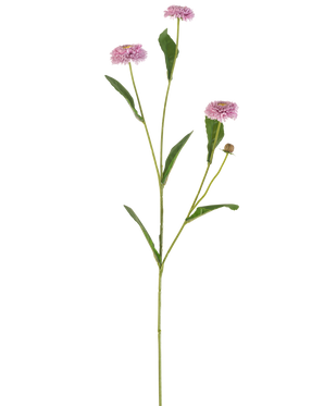 De Kunstbloem Zomeraster 57 cm mauve heeft een lange, slanke groene steel met drie mauve, margrietachtige bloemen en langwerpige groene bladeren die zich vertakken, alles tegen een effen witte achtergrond.