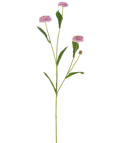 De Kunstbloem Zomeraster 57 cm mauve heeft een lange, slanke groene steel met drie mauve, margrietachtige bloemen en langwerpige groene bladeren die zich vertakken, alles tegen een effen witte achtergrond.