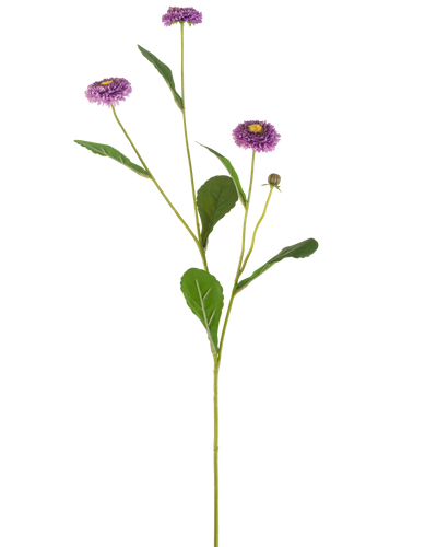 Een Kunstbloem Zomeraster van 57 cm met een enkele groene steel, drie paarse margrietachtige bloemen met een geel hart en een aantal groene bladeren, afgebeeld tegen een effen witte achtergrond.