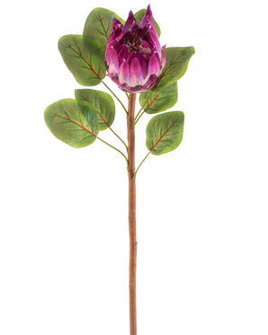 De Kunstbloem Protea 65 cm paars heeft een enkele kunstmatige paarse protea bloem met groene bladeren en een lange bruine steel, tegen een witte achtergrond.