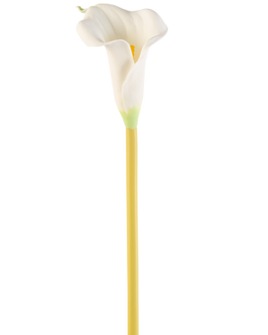 De Kunstbloem Calla 64 cm crème is een enkele kunstmatige witte calla lelie met een lange gele steel, tegen een effen witte achtergrond.