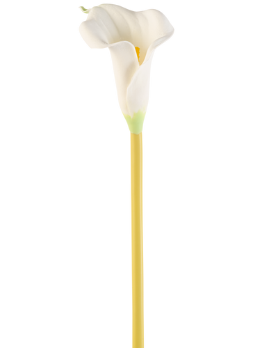 De Kunstbloem Calla 64 cm crème is een enkele kunstmatige witte calla lelie met een lange gele steel, tegen een effen witte achtergrond.
